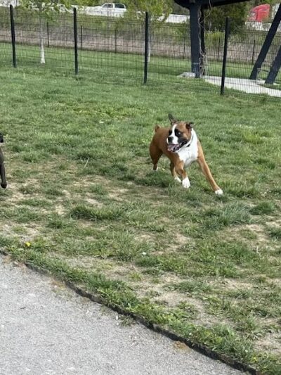 Barklands - Louisville, KY