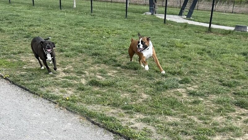 Barklands - Louisville, KY