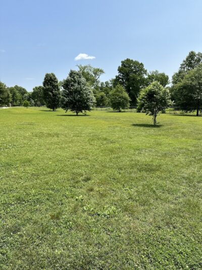 Champions Dog Run (Members Only) - Louisville, KY