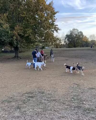 Cochran Hill Dog Run (Members Only) - Louisville, KY