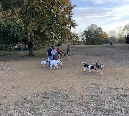 Cochran Hill Dog Run (Members Only) - Louisville, KY