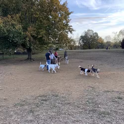 Cochran Hill Dog Run (Members Only) - Louisville, KY