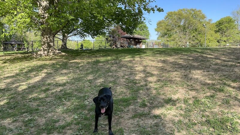 Cochran Hill Dog Run (Members Only) - Louisville, KY