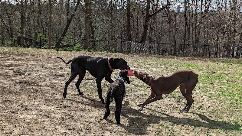 Cochran Hill Dog Run (Members Only) - Louisville, KY