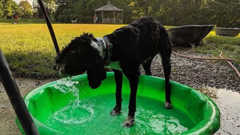 Cochran Hill Dog Run (Members Only) - Louisville, KY