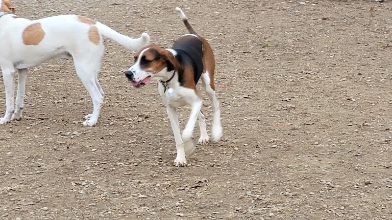 Cochran Hill Dog Run (Members Only) - Louisville, KY