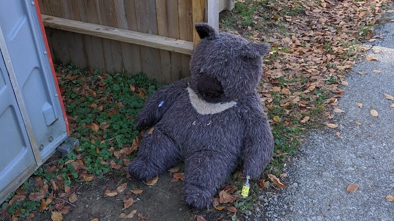 Cochran Hill Dog Run (Members Only) - Louisville, KY