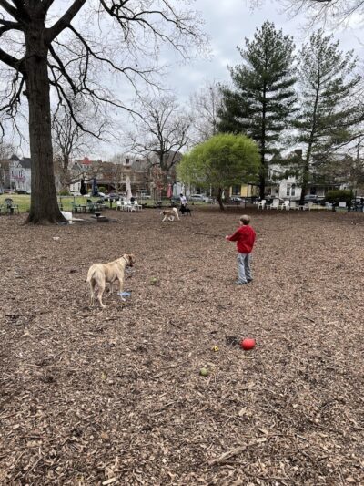 Morton Avenue Dog Park - Louisville, KY