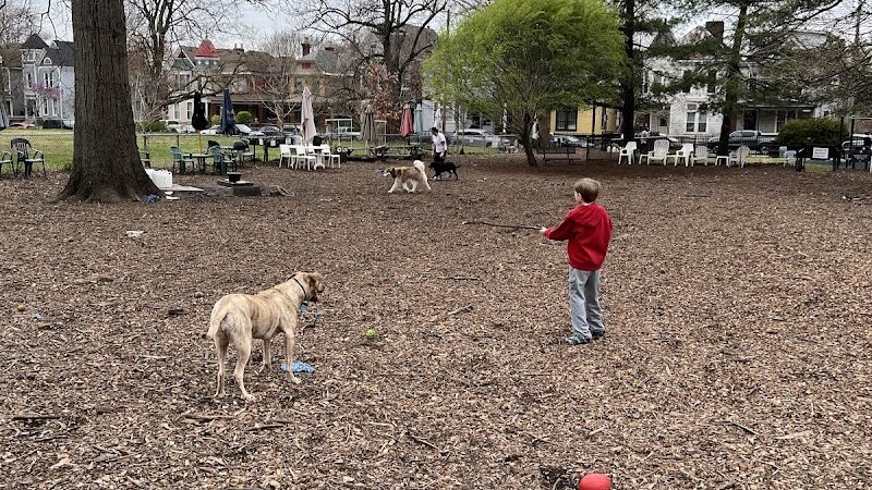 Morton Avenue Dog Park - Louisville, KY