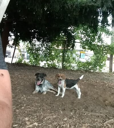 Morton Avenue Dog Park - Louisville, KY