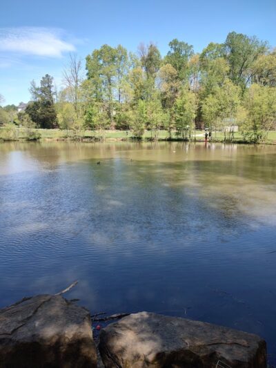 Waverly Dog Run - Louisville, KY