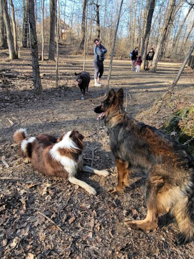Waverly Dog Run - Louisville, KY
