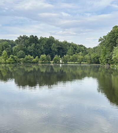 Waverly Dog Run - Louisville, KY