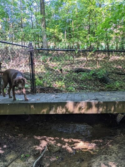 Waverly Dog Run - Louisville, KY