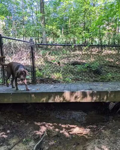 Waverly Dog Run - Louisville, KY