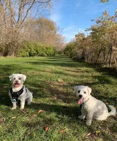 Canine Corners Dog Park - Olson Park - Loves Park, IL