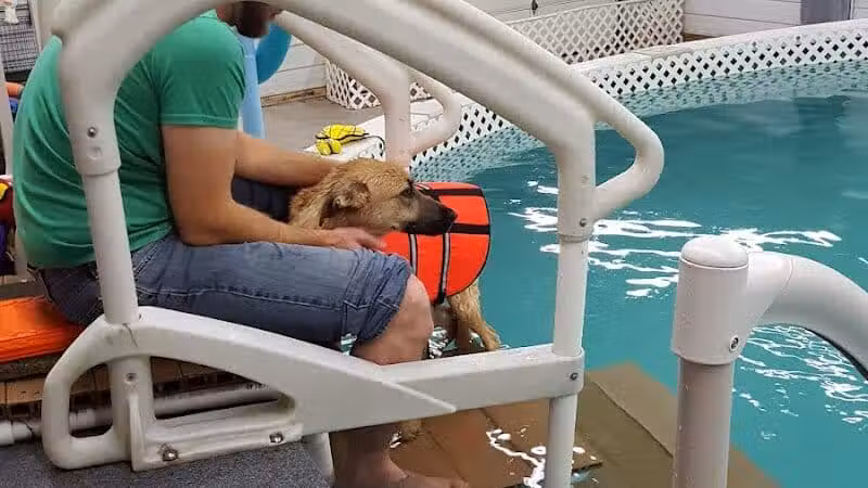 Dog Paddle Beach - Loves Park, IL