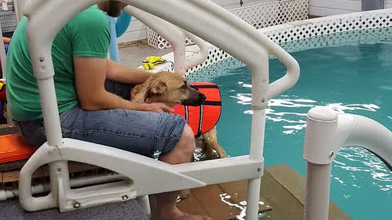 Dog Paddle Beach - Loves Park, IL