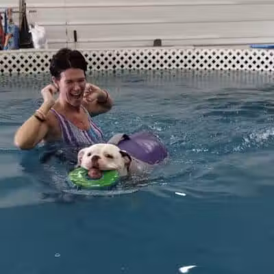 Dog Paddle Beach - Loves Park, IL