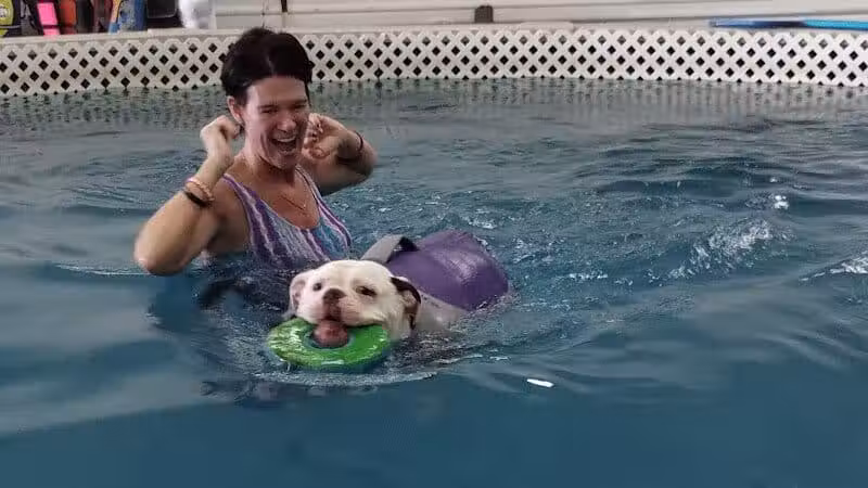 Dog Paddle Beach - Loves Park, IL