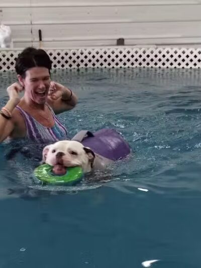 Dog Paddle Beach - Loves Park, IL