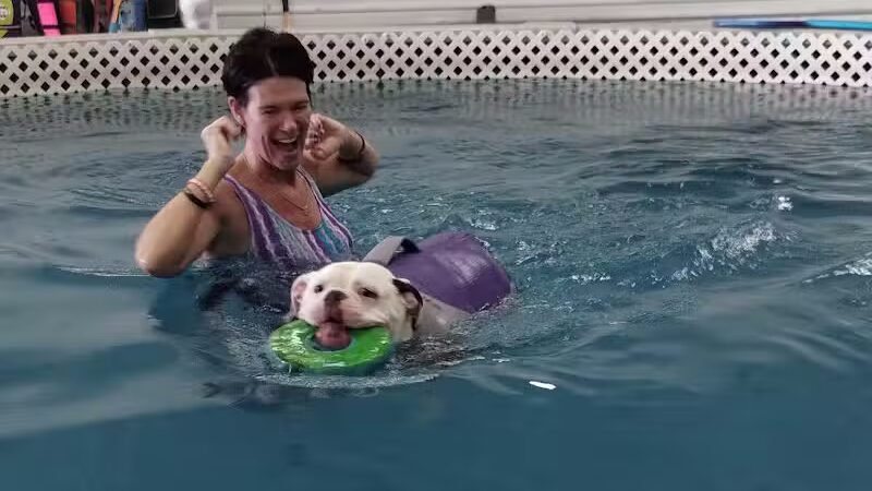 Dog Paddle Beach - Loves Park, IL