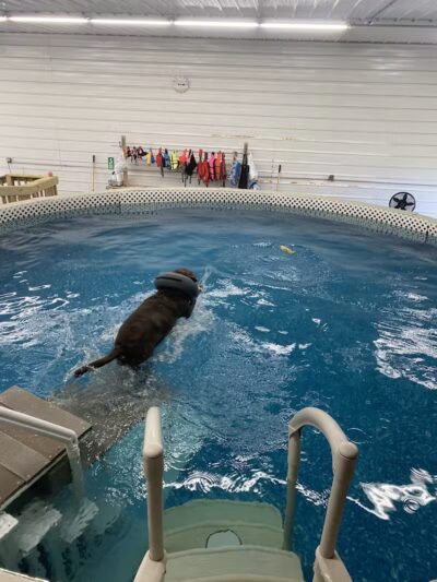 Dog Paddle Beach - Loves Park, IL