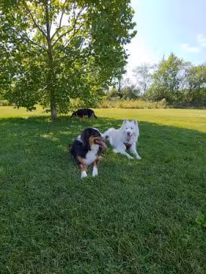 Freedom Park - Lowell, IN