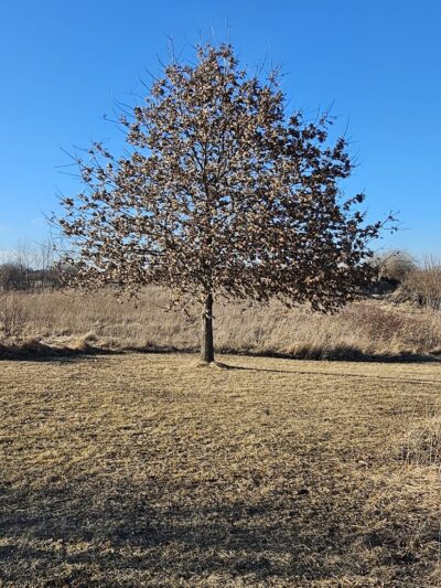 Freedom Park - Lowell, IN