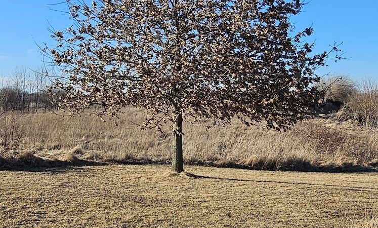 Freedom Park - Lowell, IN
