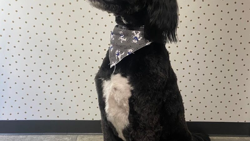 Off Leash Grooming and Retail - Lowell, IN