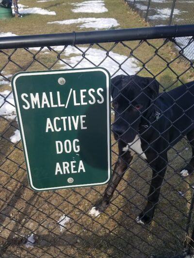 Animal Hospital of Lowell Dog Park - Lowell, MI