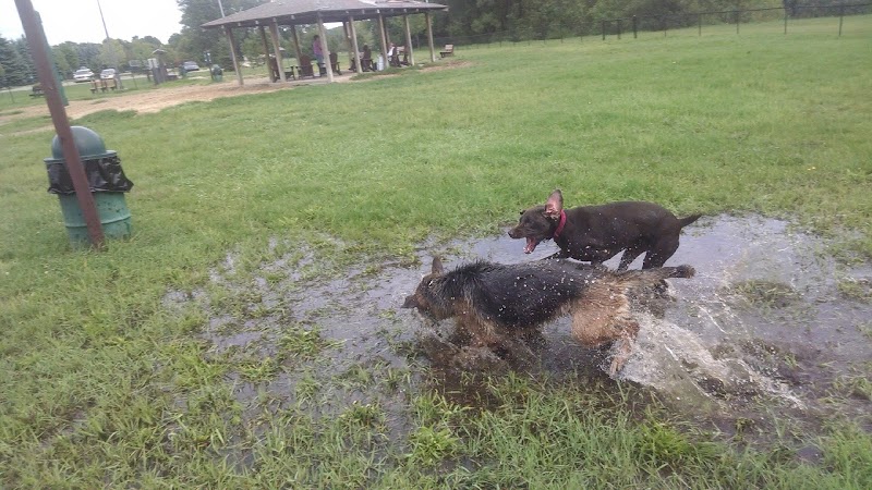 Animal Hospital of Lowell Dog Park - Lowell, MI