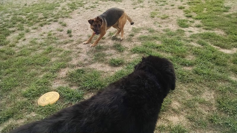 Animal Hospital of Lowell Dog Park - Lowell, MI