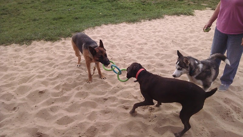 Animal Hospital of Lowell Dog Park - Lowell, MI