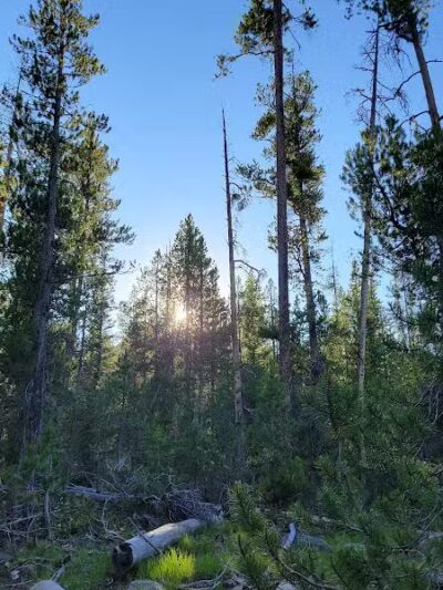 Iron Creek Trailhead