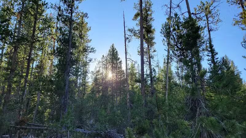 Iron Creek Trailhead