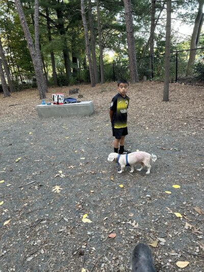 Memorial Park - Ludlow, MA