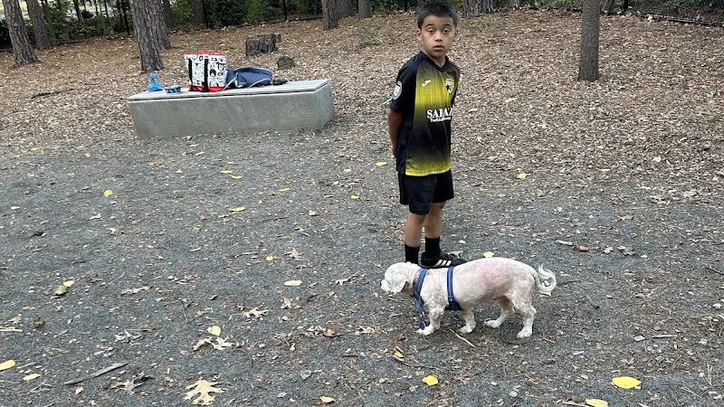 Memorial Park - Ludlow, MA