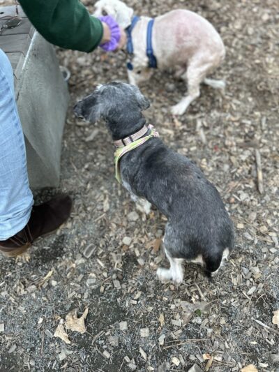 Memorial Park - Ludlow, MA