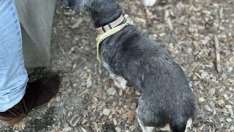 Memorial Park - Ludlow, MA