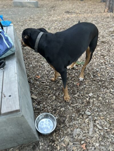 Memorial Park - Ludlow, MA