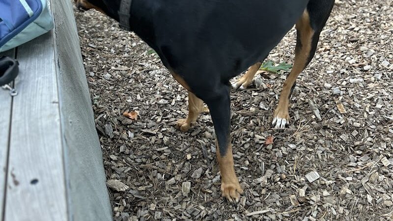 Memorial Park - Ludlow, MA