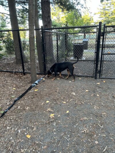 Memorial Park - Ludlow, MA