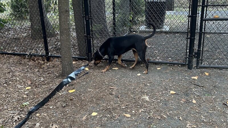 Memorial Park - Ludlow, MA