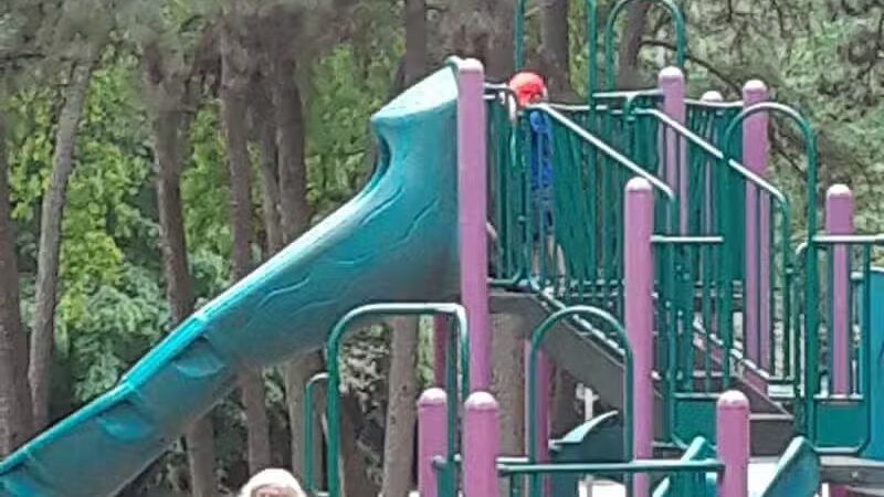 Lufkin Dog Park - Lufkin, TX