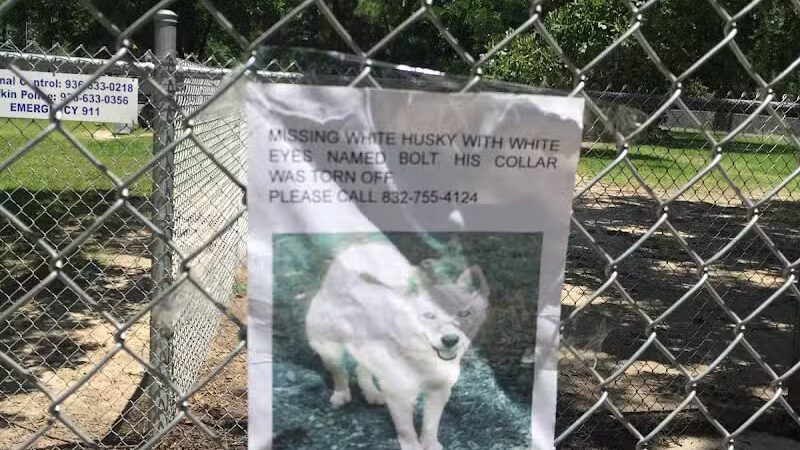 Lufkin Dog Park - Lufkin, TX