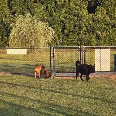 Lumberton Dog Park - Lumberton, NC