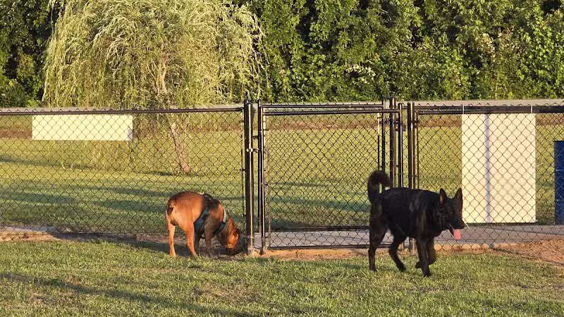 Lumberton Dog Park - Lumberton, NC