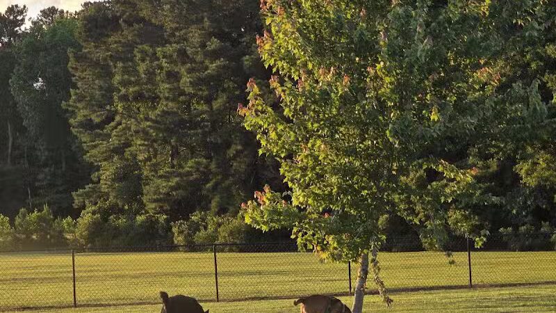 Lumberton Dog Park - Lumberton, NC